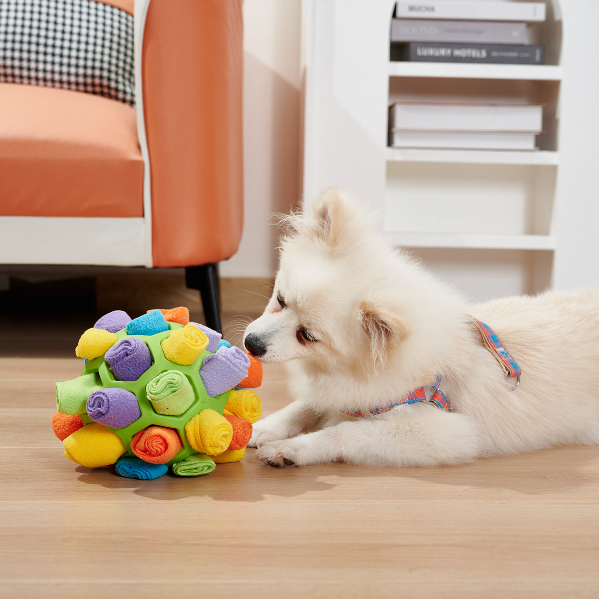 Interactive Dog Ball with Snacks