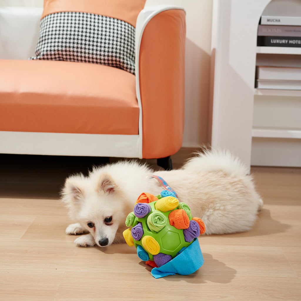 Interactive Dog Ball with Snacks